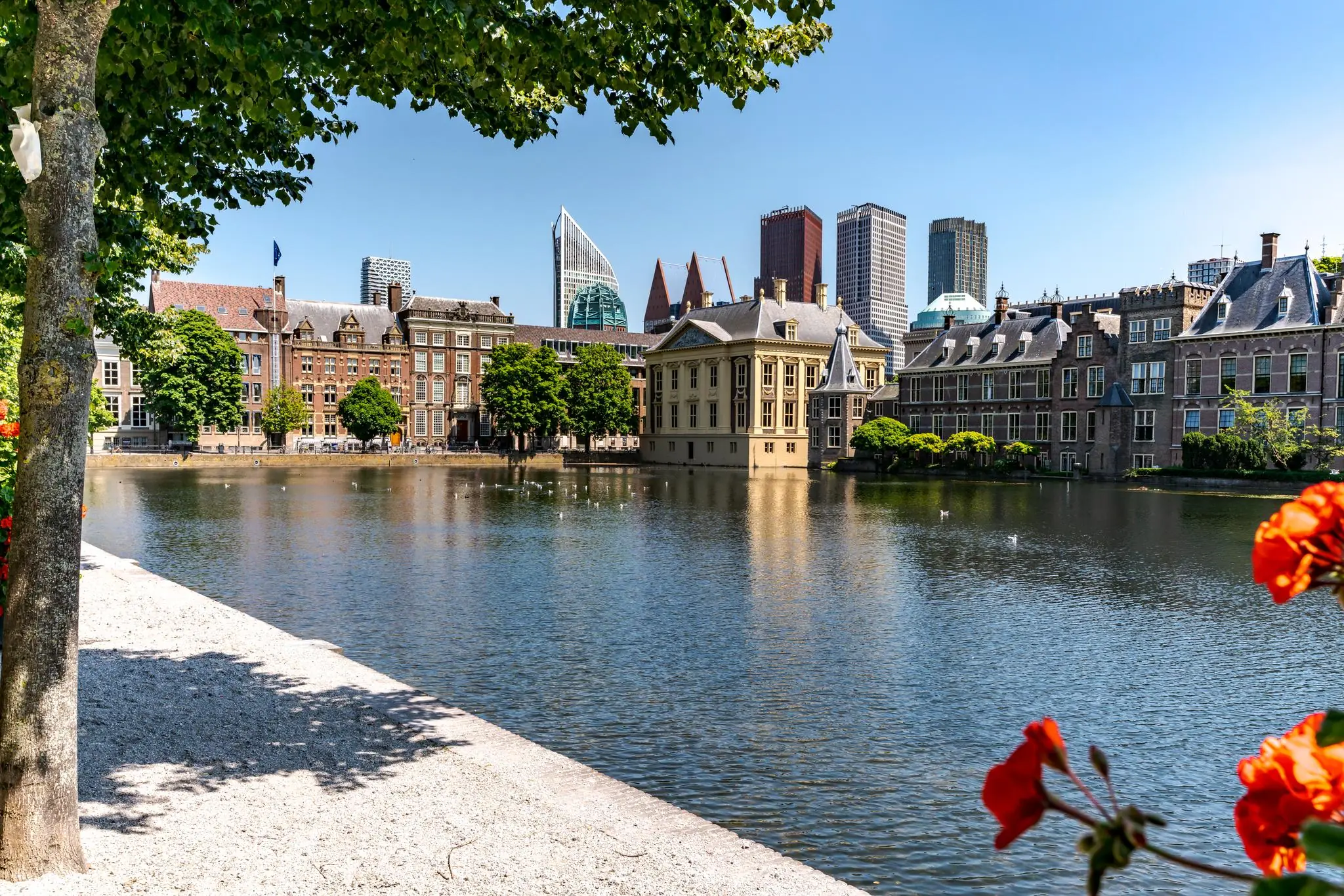 Uitzicht op de Lange Vijverberg en het Binnenhof met de skyline van Den Haag op de achtergrond.